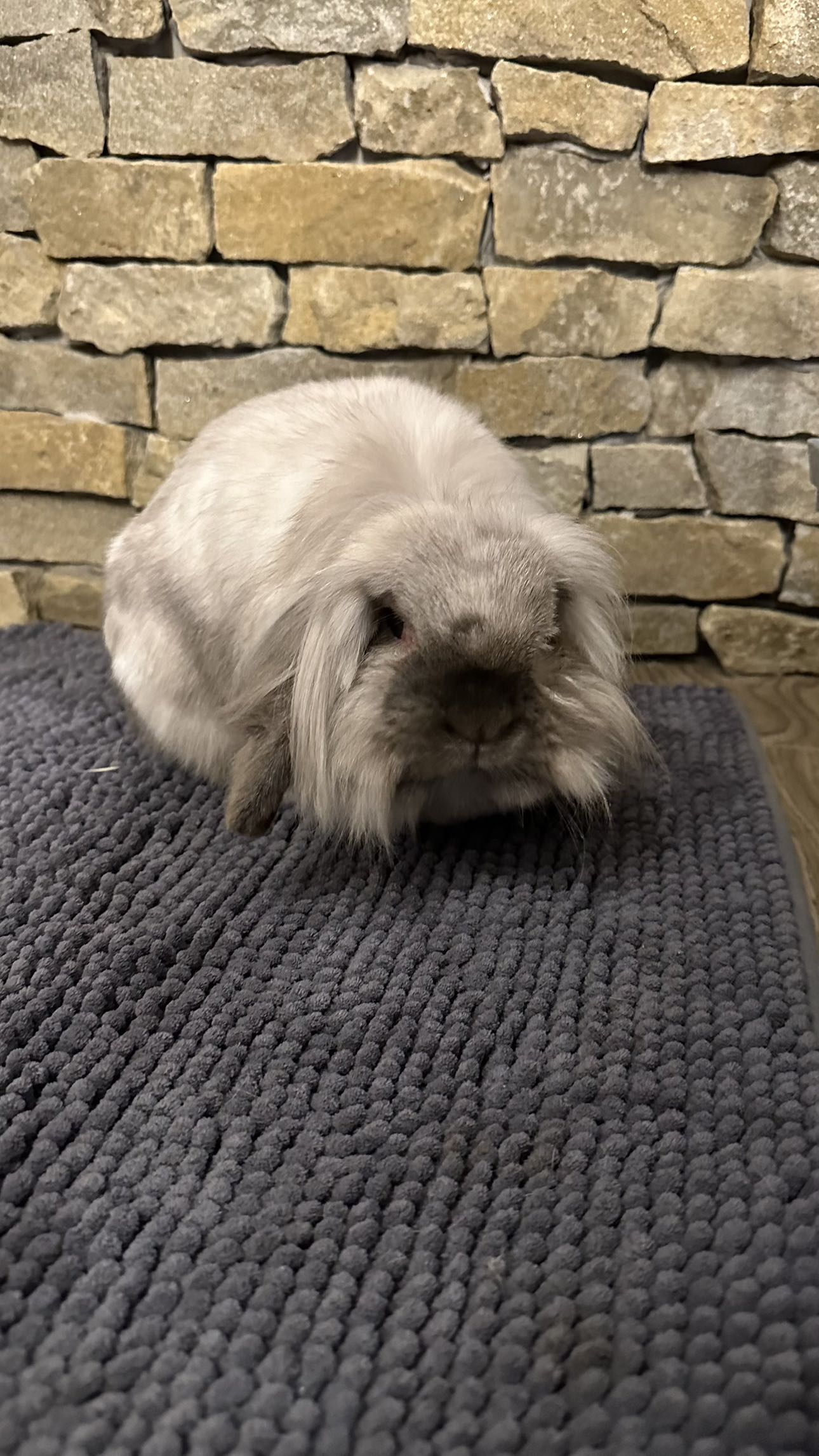 mira.0004 snapchat image archive image