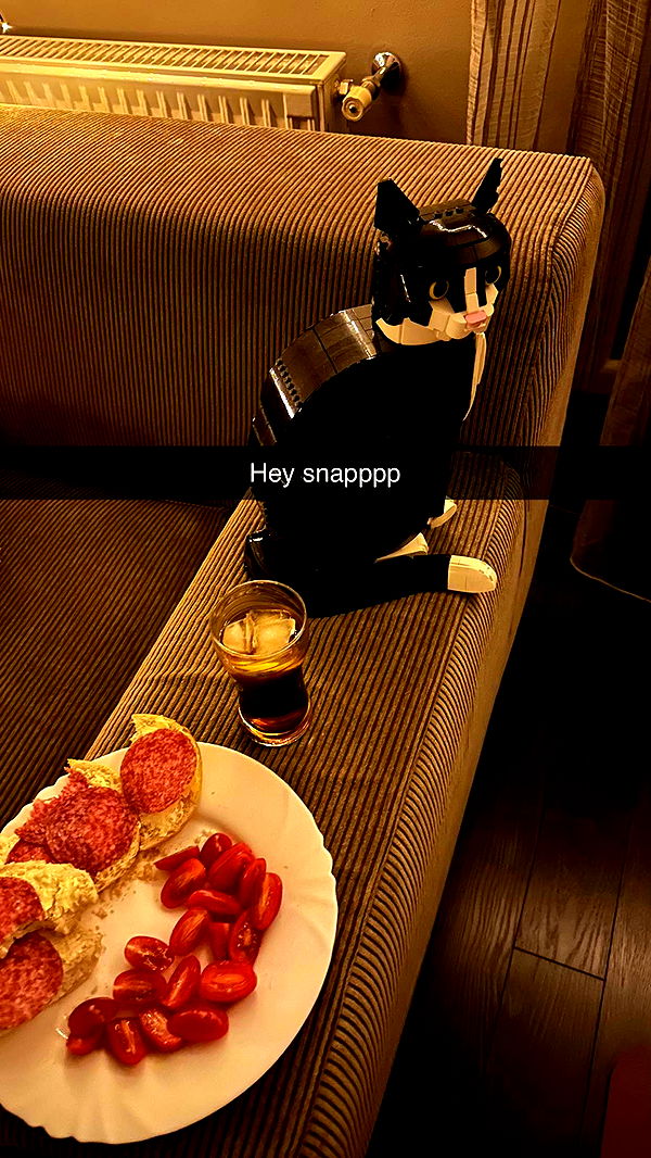 mira.0004 image ~ Altpins