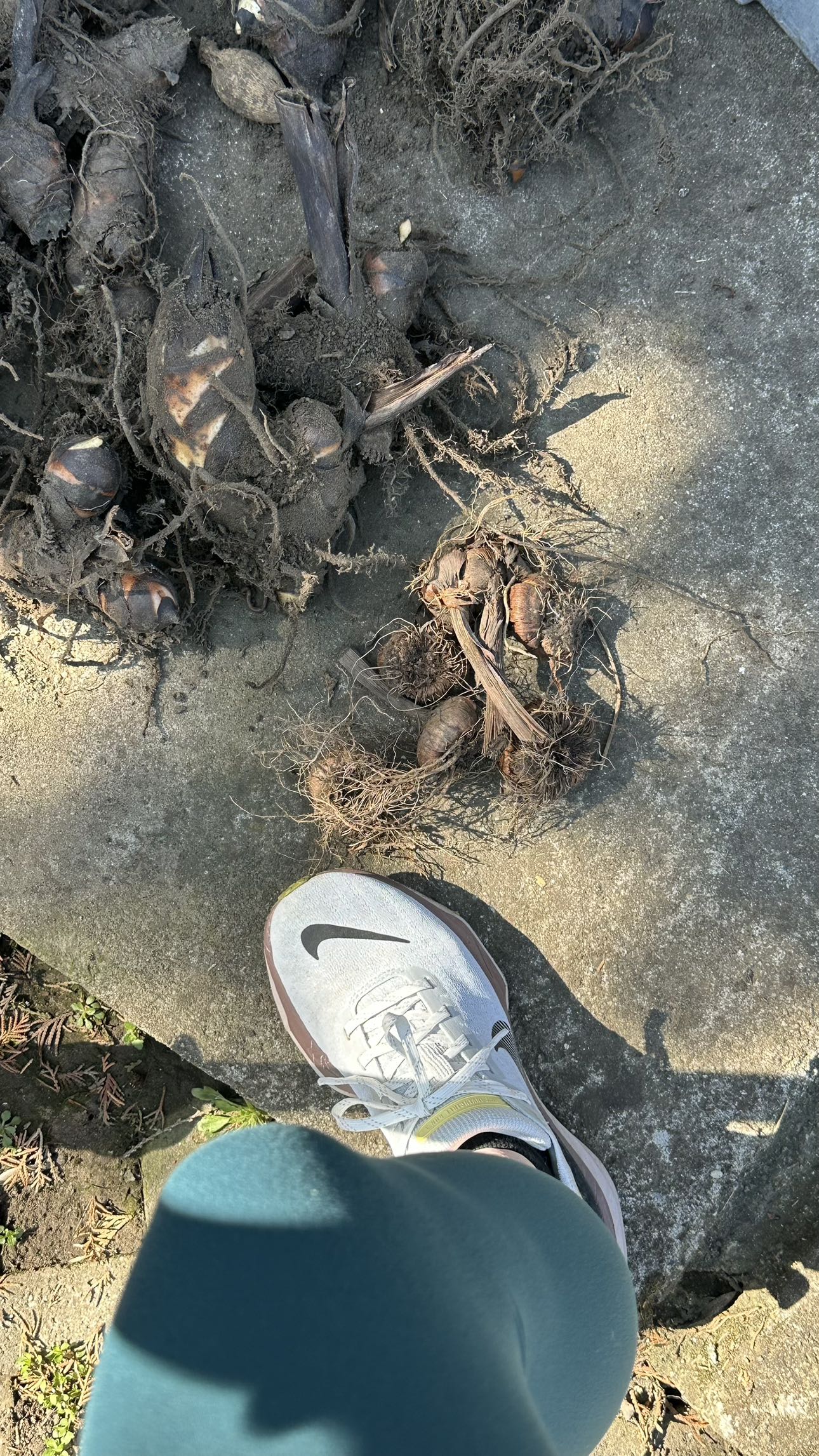 mira.0004 snapchat image archive image