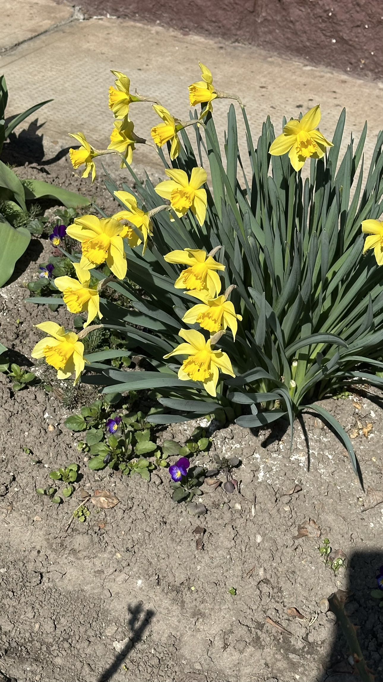 mira.0004 snapchat image archive image