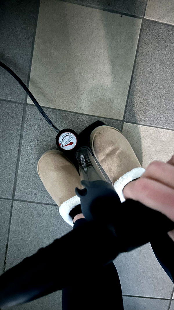 mira.0004 image ~ Altpins