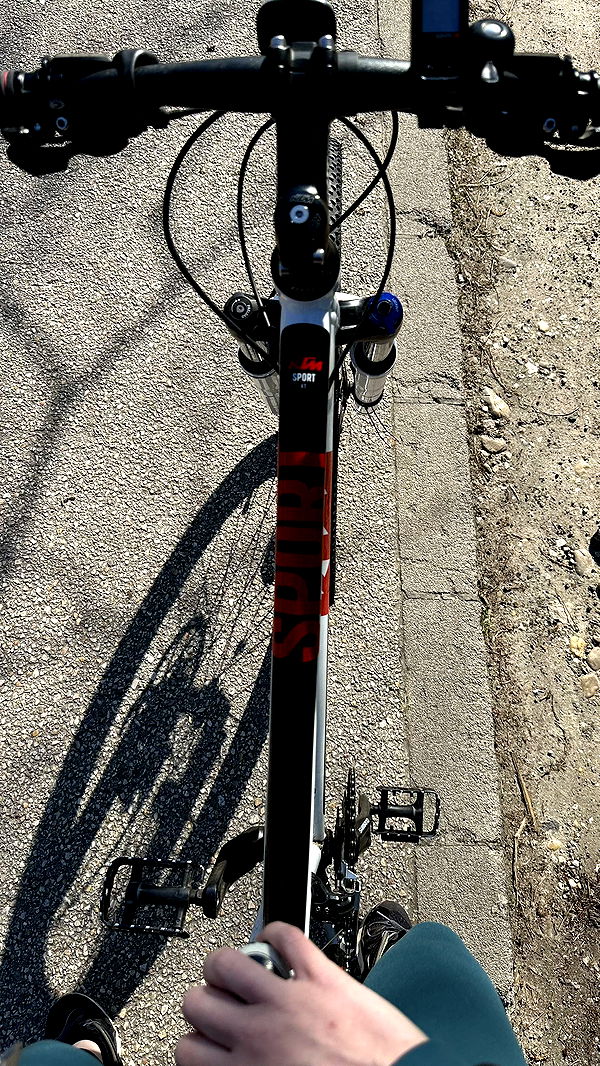 mira.0004 image ~ Altpins