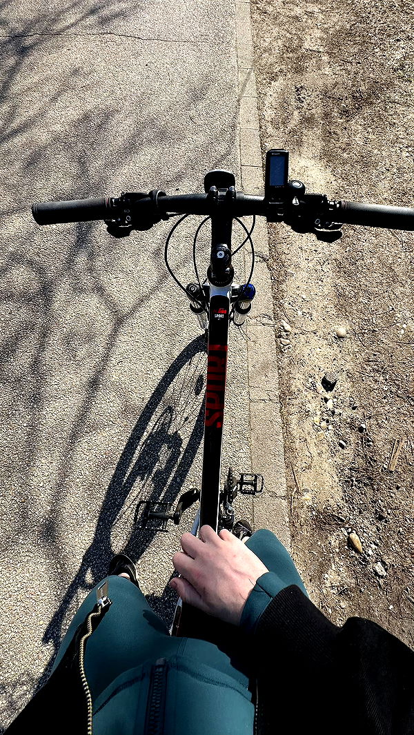 mira.0004 image ~ Altpins