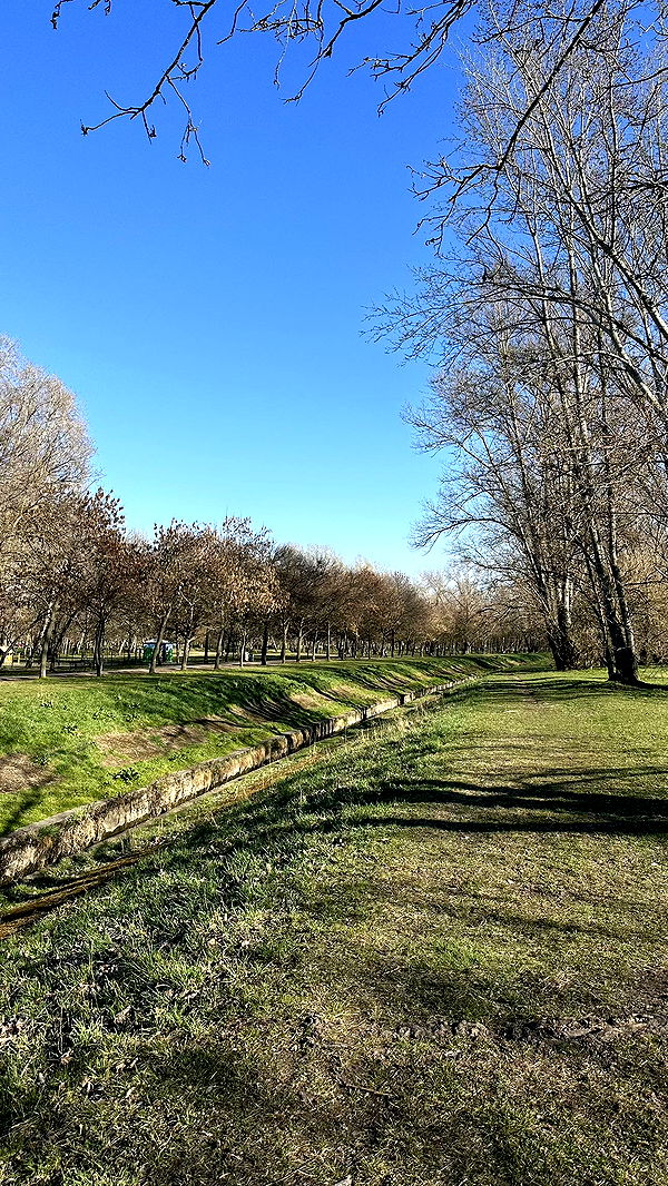 mira.0004 image ~ Altpins