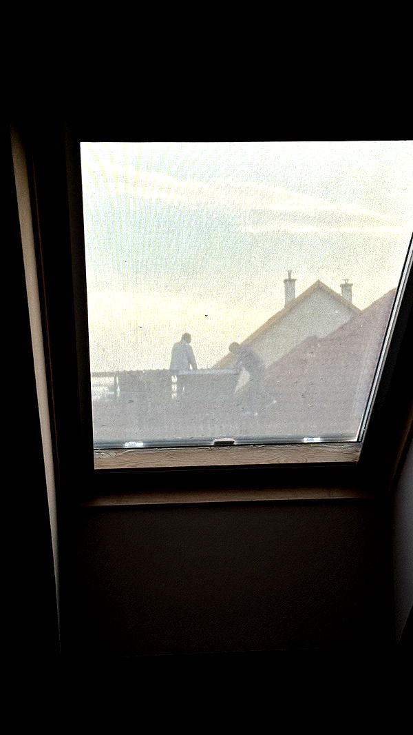 mira.0004 image ~ Altpins