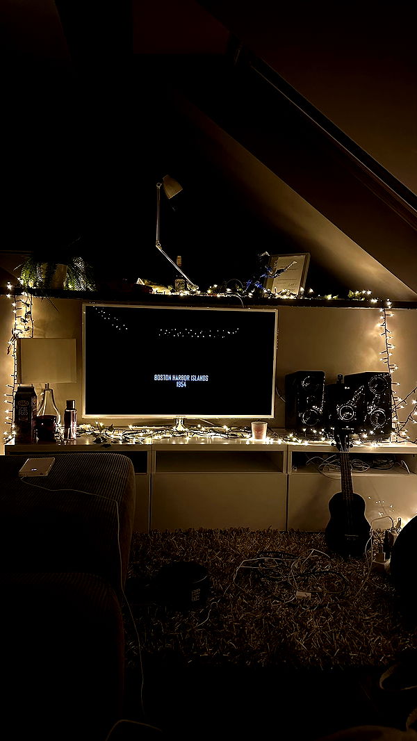 mira.0004 image ~ Altpins