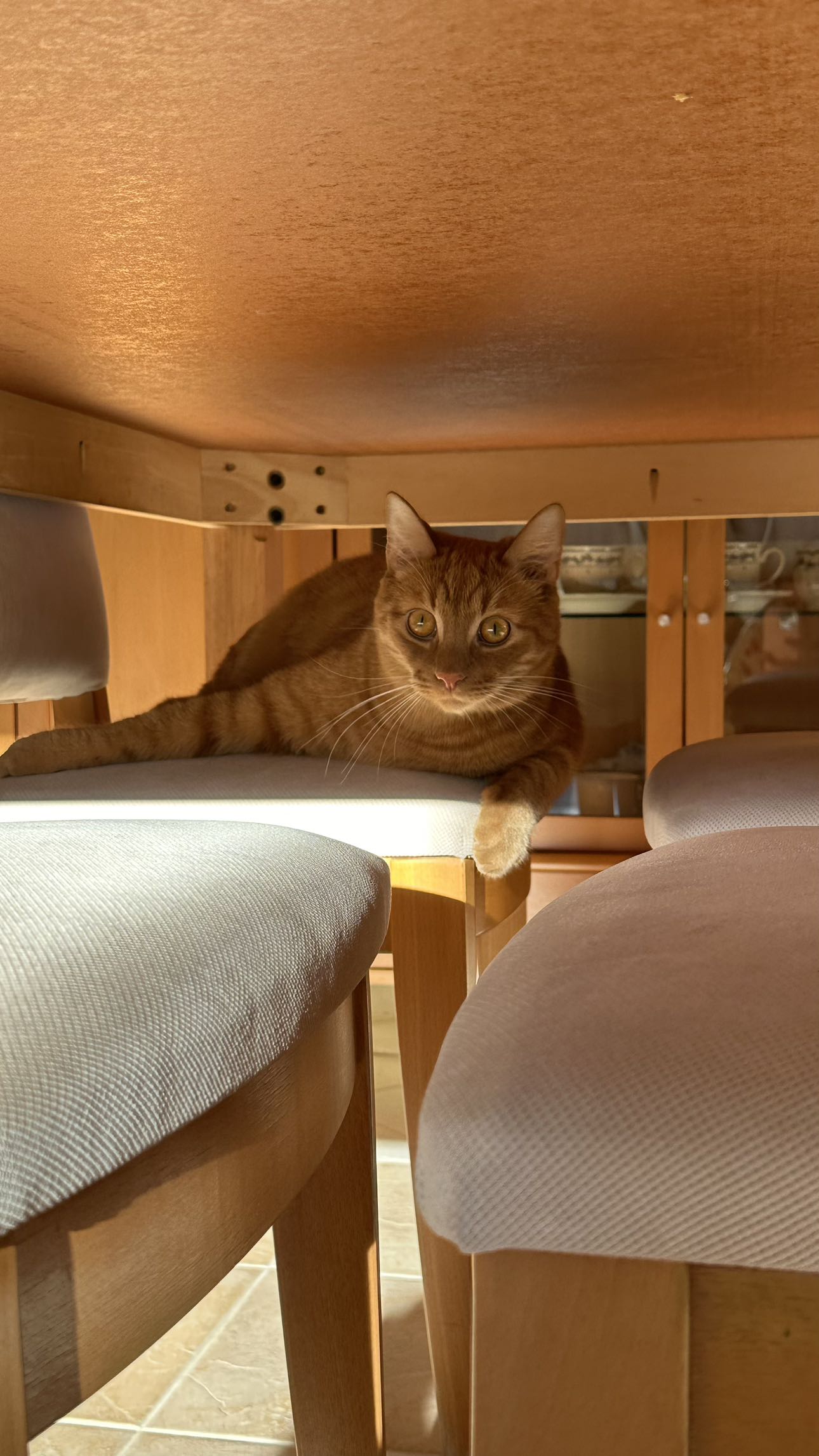 mira.0004 snapchat image archive image