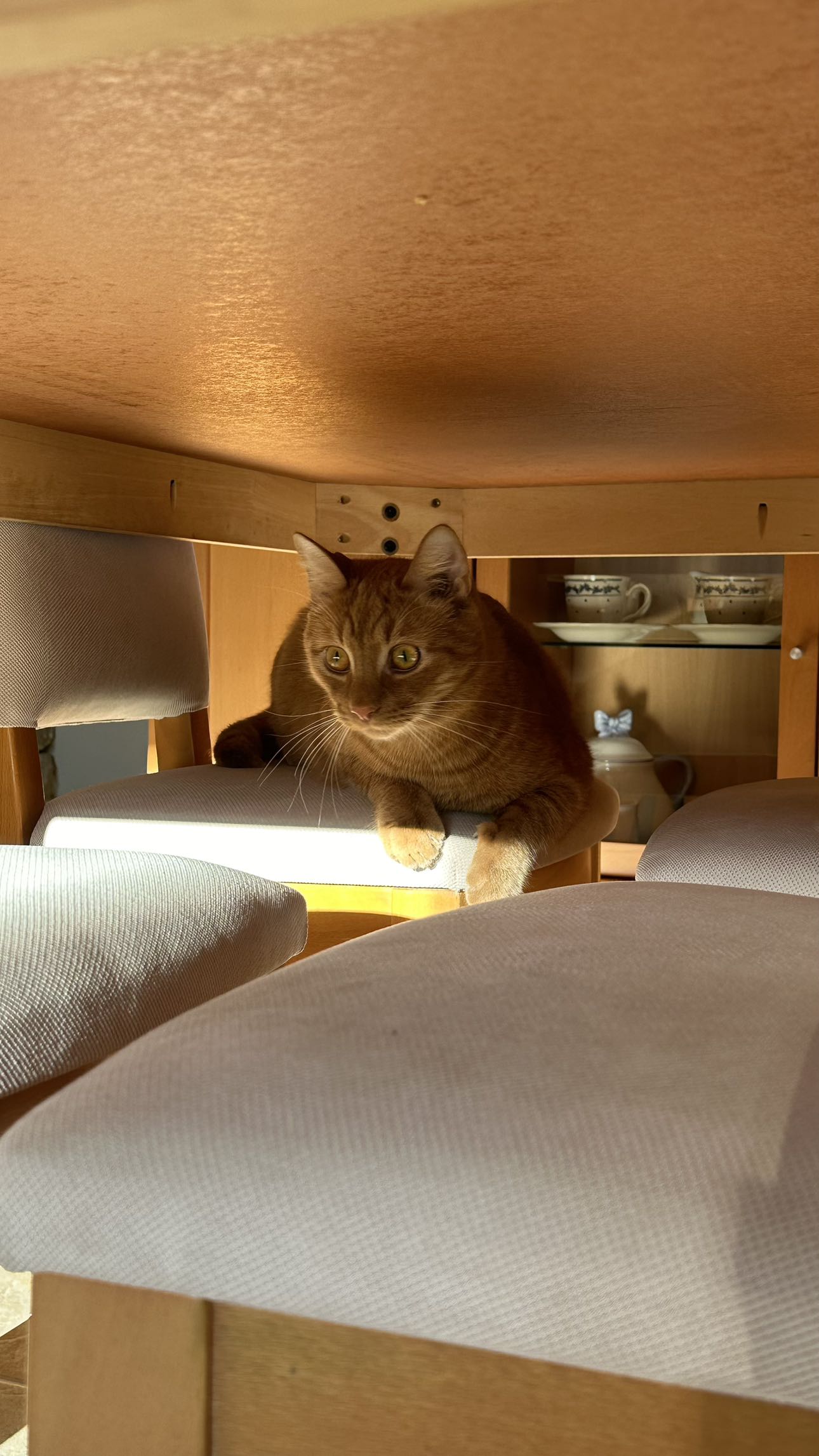 mira.0004 snapchat image archive image