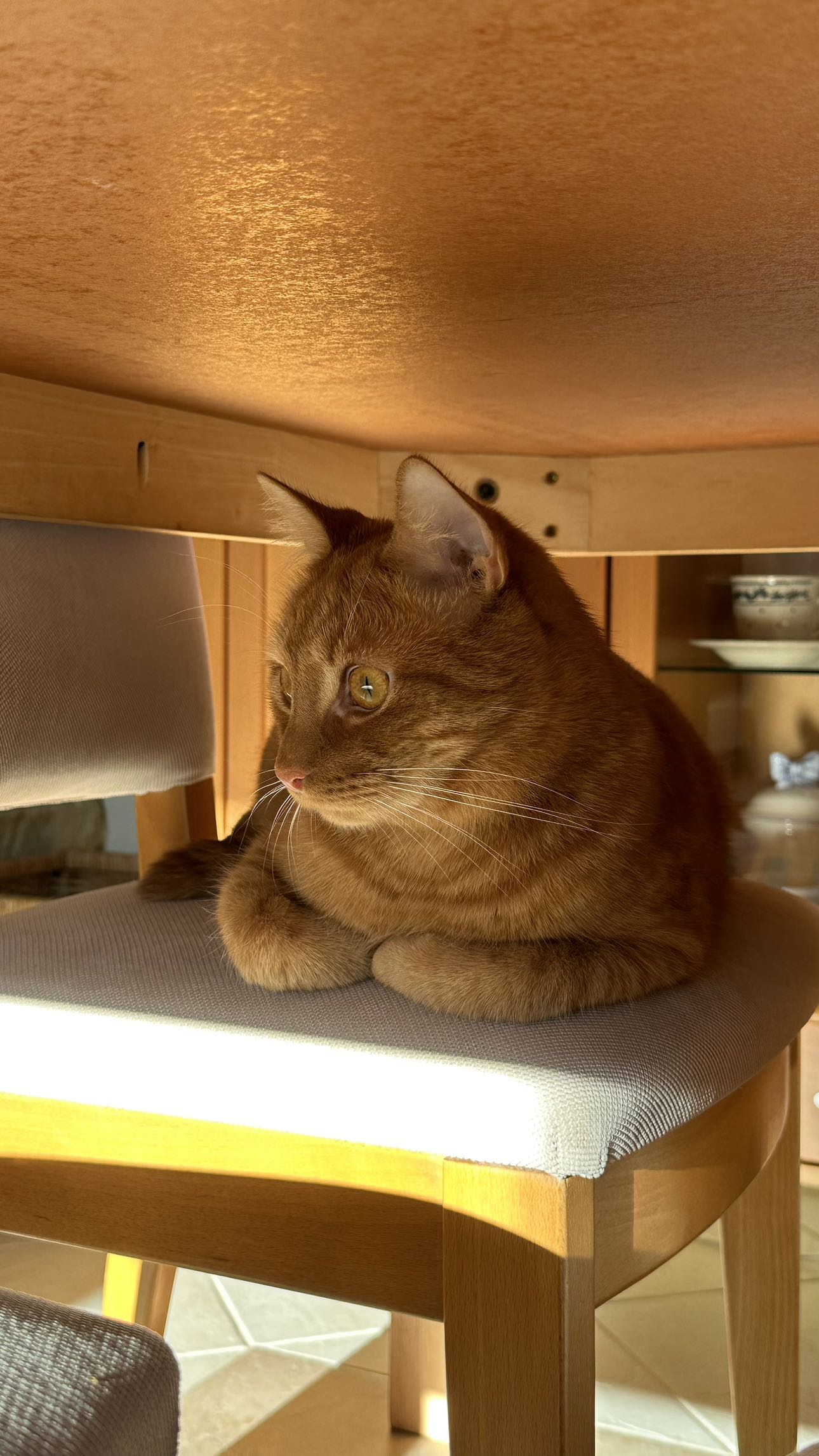 mira.0004 snapchat image archive image