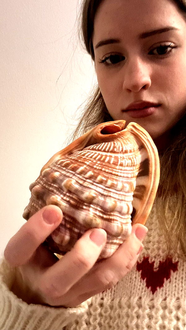 mira.0004 image ~ Altpins