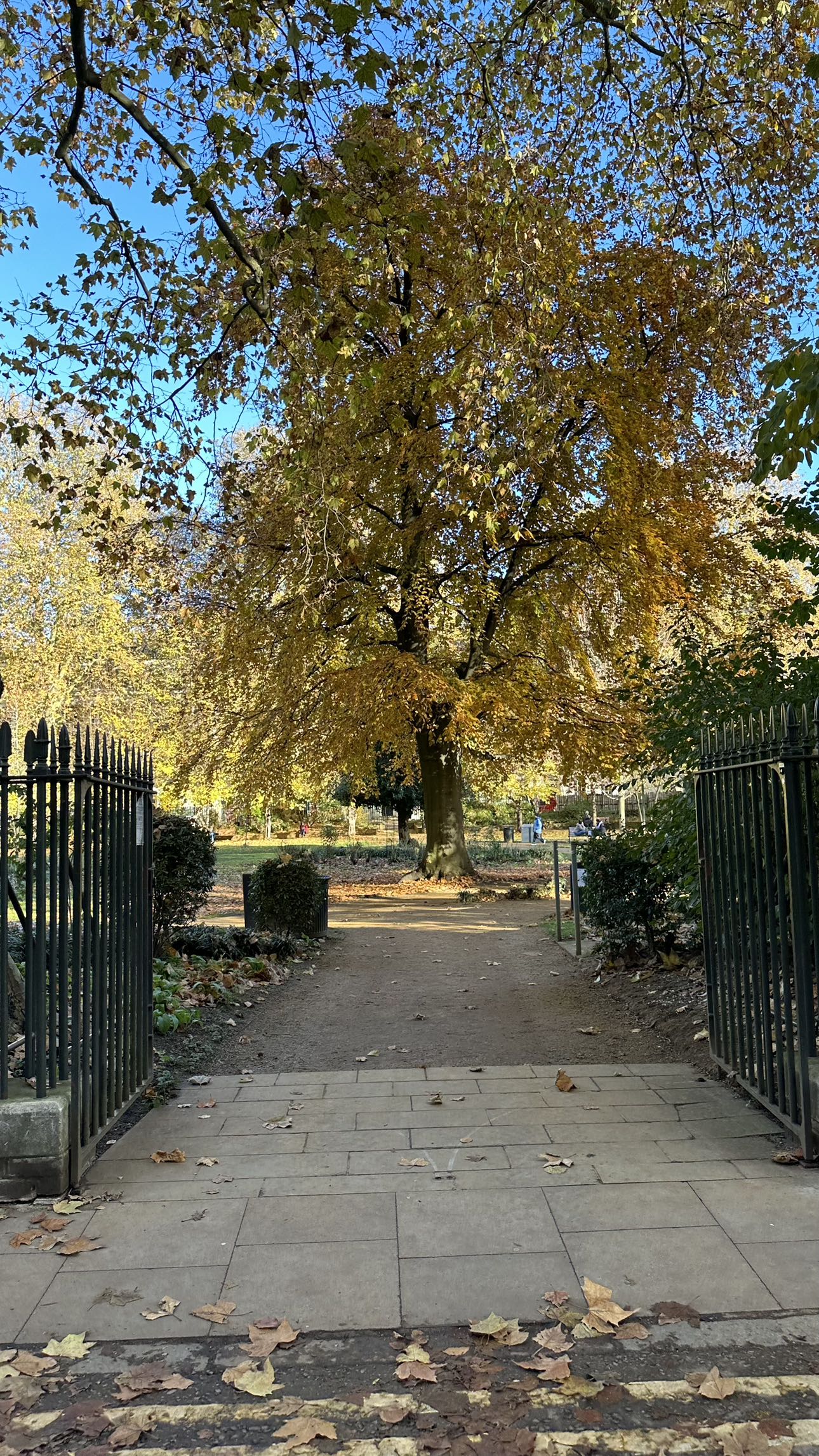 mira.0004 snapchat image archive image