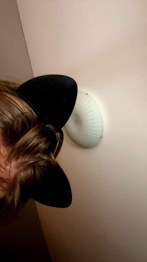 mira.0004 image ~ Altpins