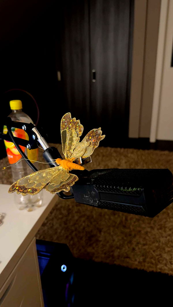 mira.0004 image ~ Altpins