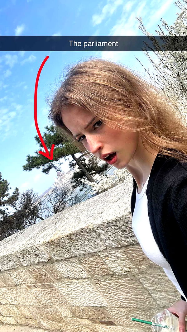 mira.0004 image ~ Altpins