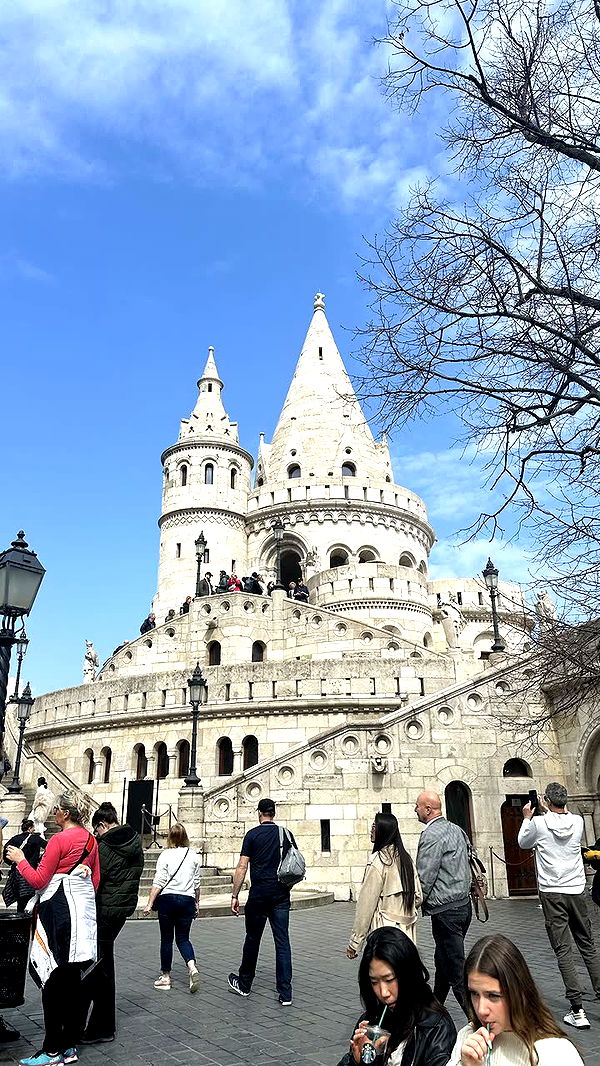 mira.0004 image ~ Altpins