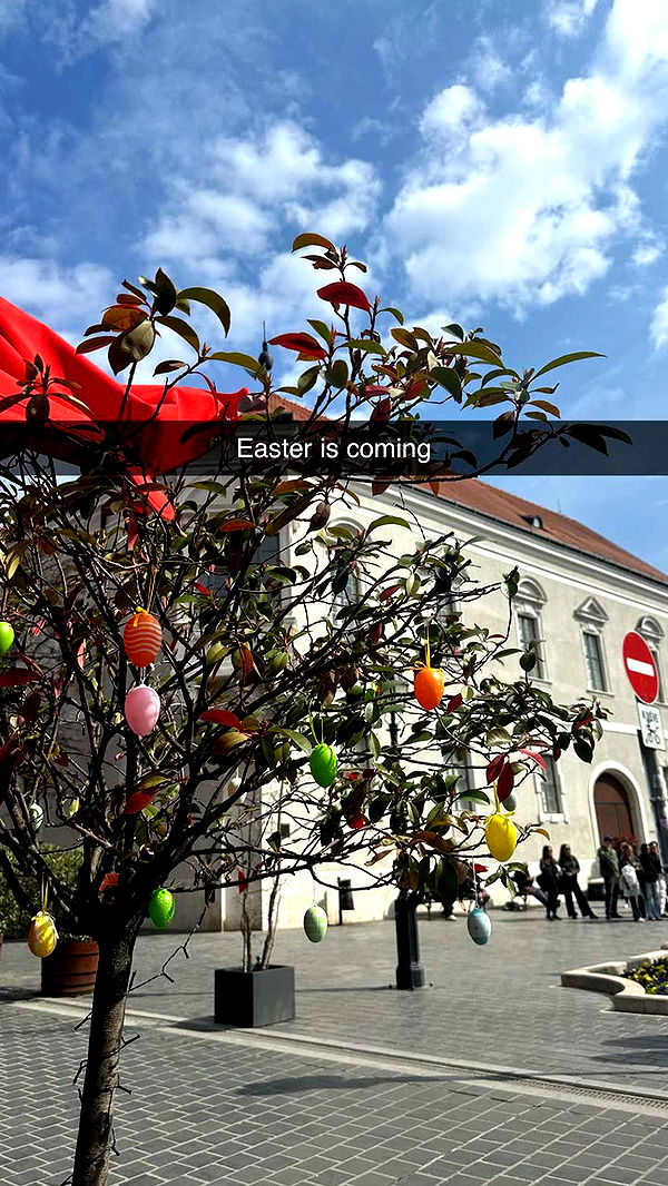 mira.0004 image ~ Altpins