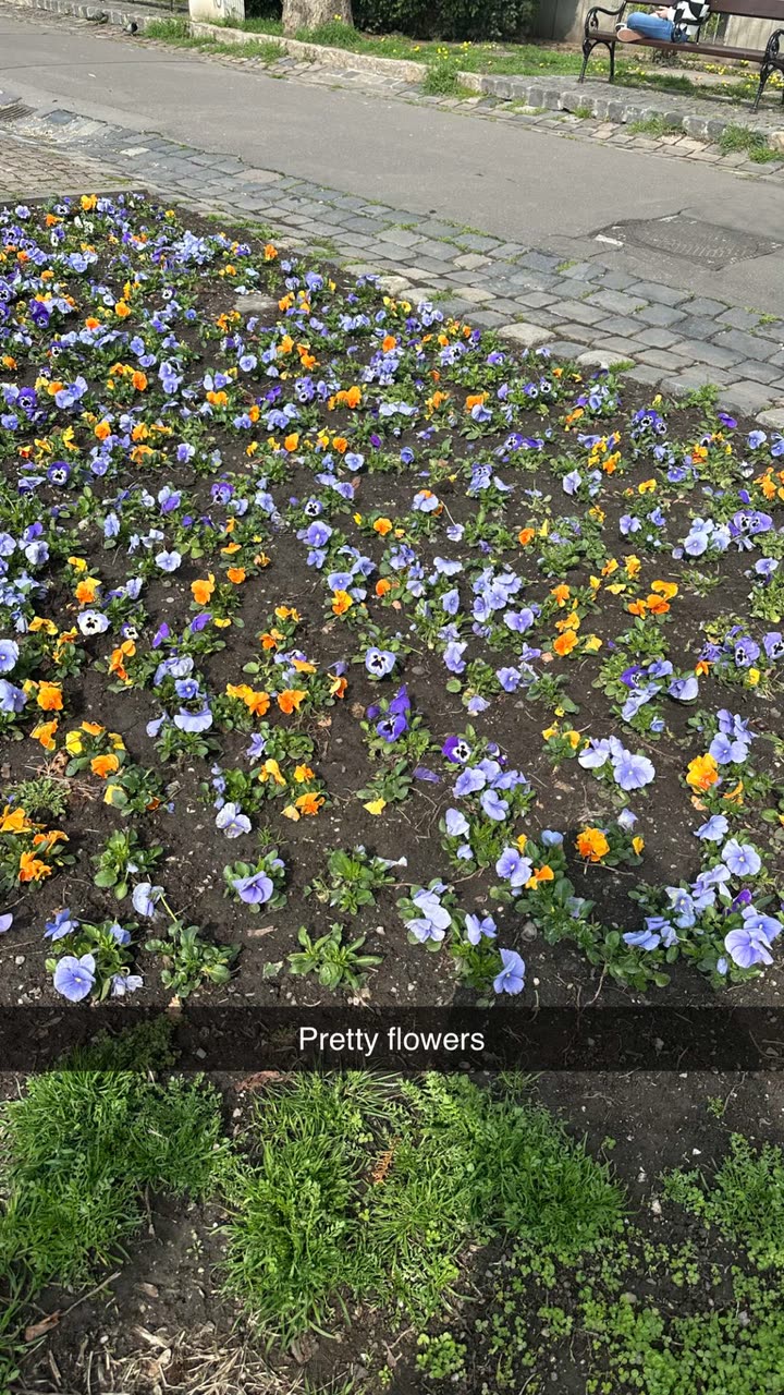 mira.0004 snapchat image archive image