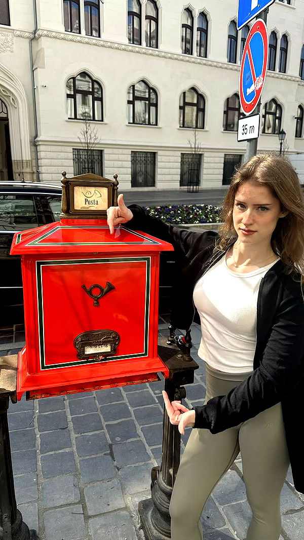 mira.0004 image ~ Altpins