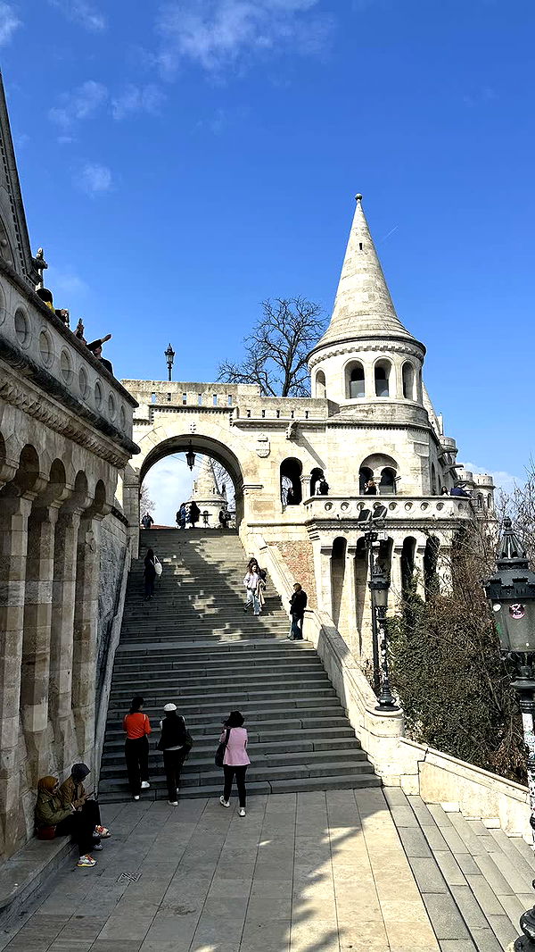 mira.0004 image ~ Altpins