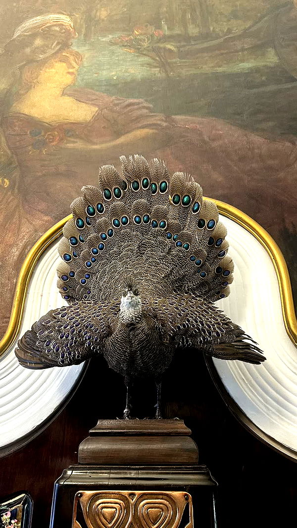 mira.0004 image ~ Altpins