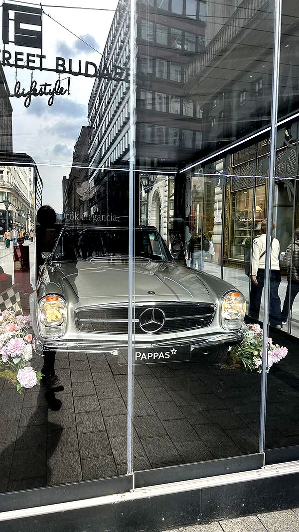 mira.0004 image ~ Altpins