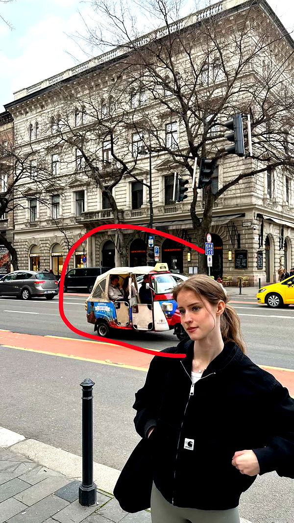 mira.0004 image ~ Altpins