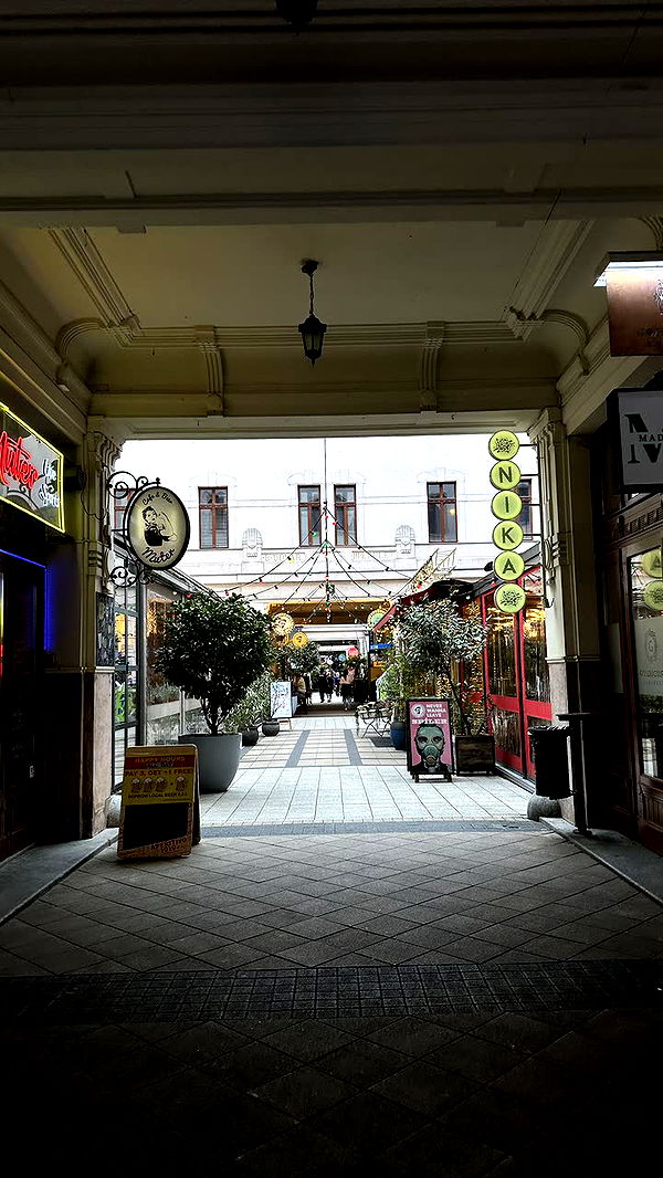 mira.0004 image ~ Altpins