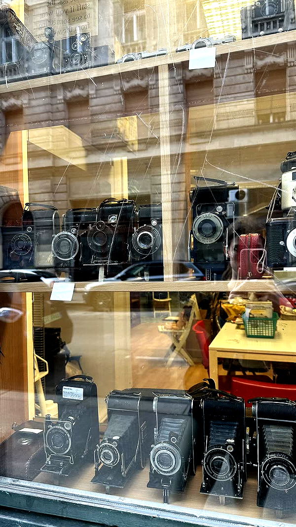 mira.0004 image ~ Altpins