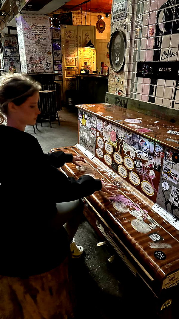 mira.0004 image ~ Altpins