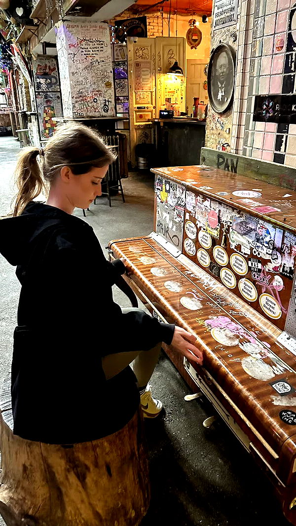 mira.0004 image ~ Altpins