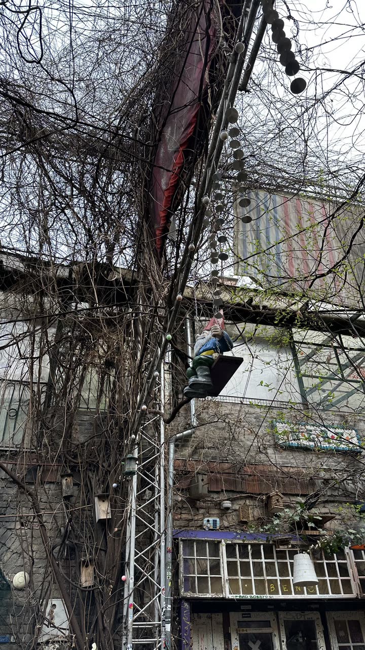 mira.0004 snapchat image archive image