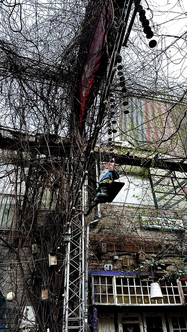 mira.0004 image ~ Altpins