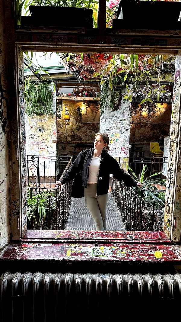 mira.0004 image ~ Altpins