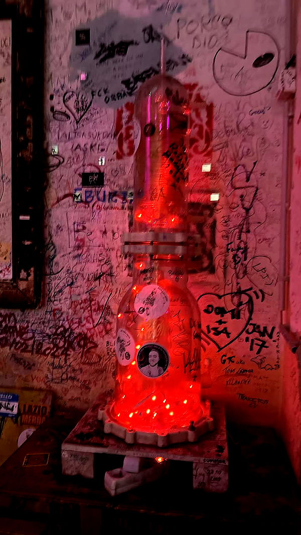 mira.0004 image ~ Altpins