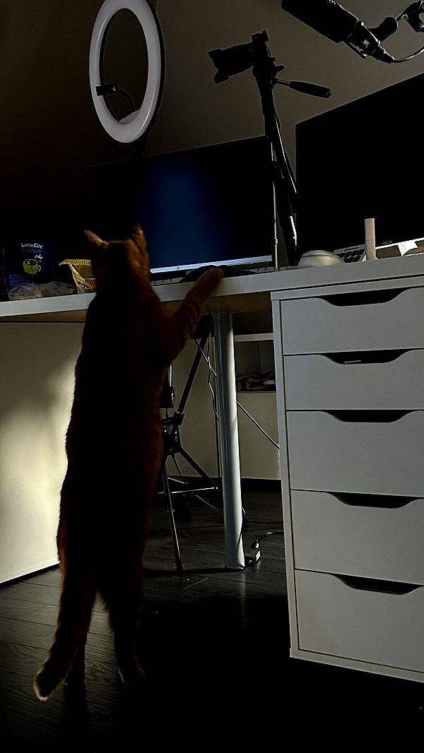 mira.0004 image ~ Altpins