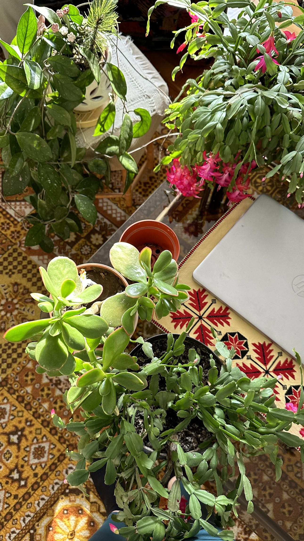 mira.0004 snapchat image archive image