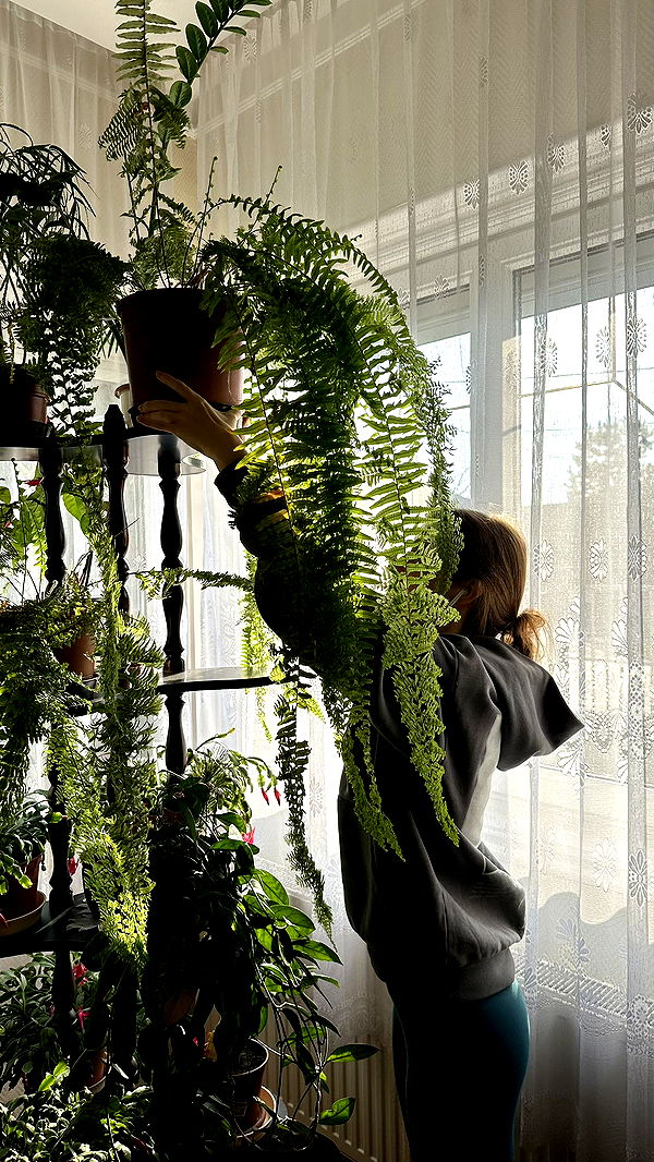 mira.0004 image ~ Altpins