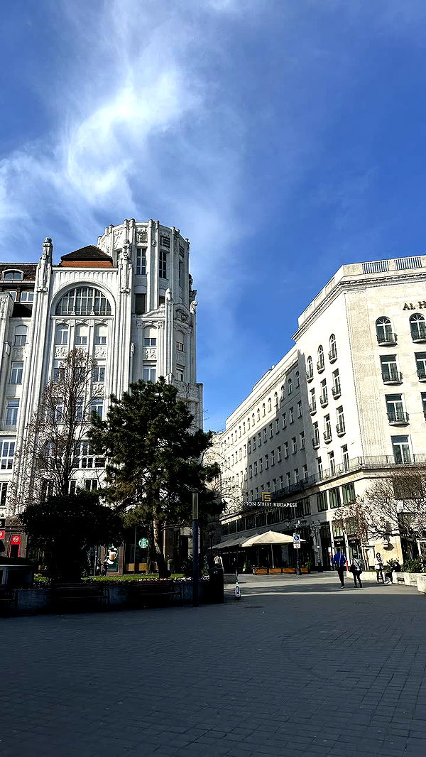 mira.0004 image ~ Altpins