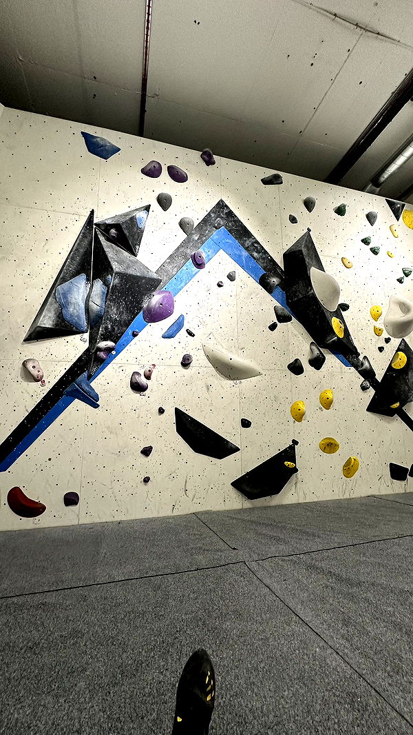 mira.0004 image ~ Altpins