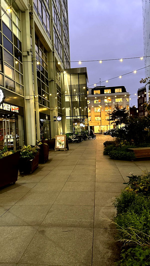 mira.0004 image ~ Altpins