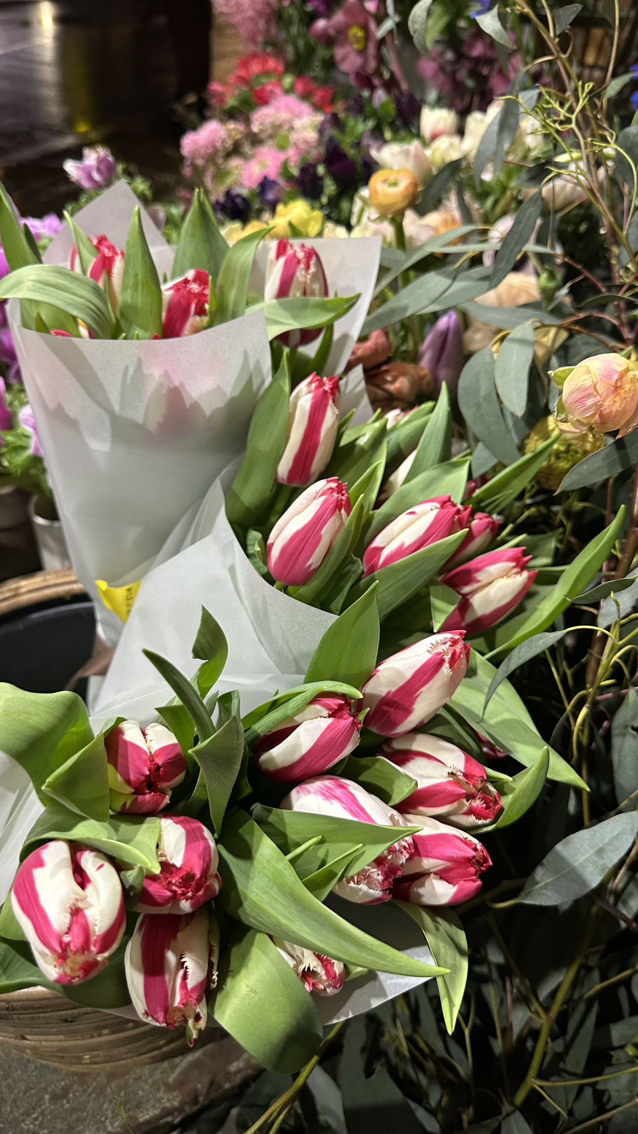 mira.0004 snapchat image archive image