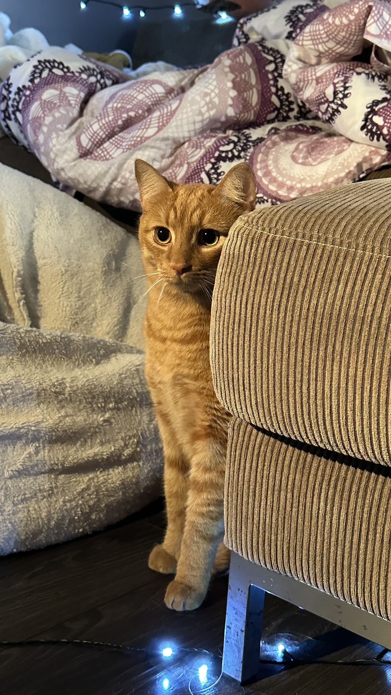 mira.0004 snapchat image archive image