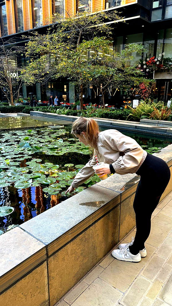 mira.0004 image ~ Altpins