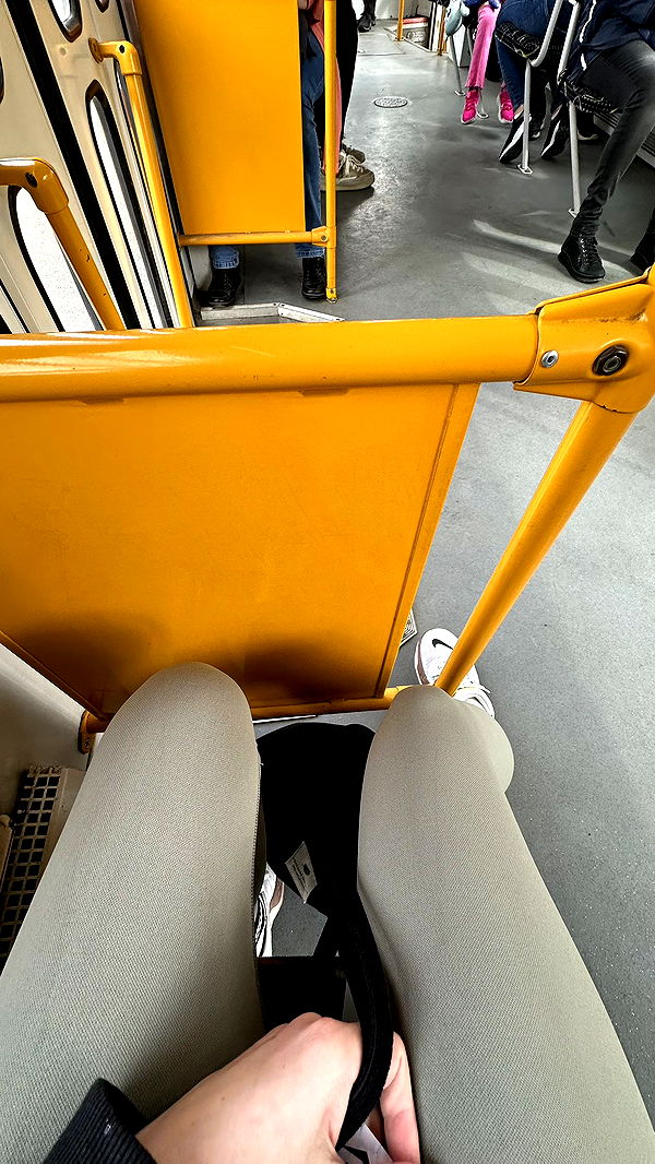 mira.0004 image ~ Altpins