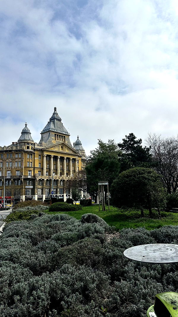 mira.0004 image ~ Altpins