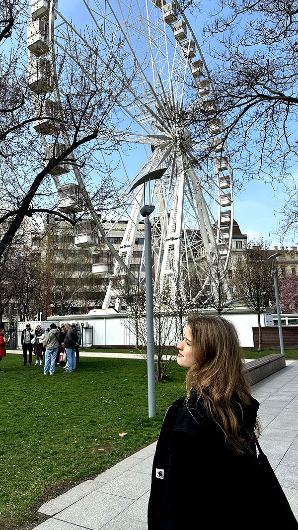 mira.0004 image ~ Altpins