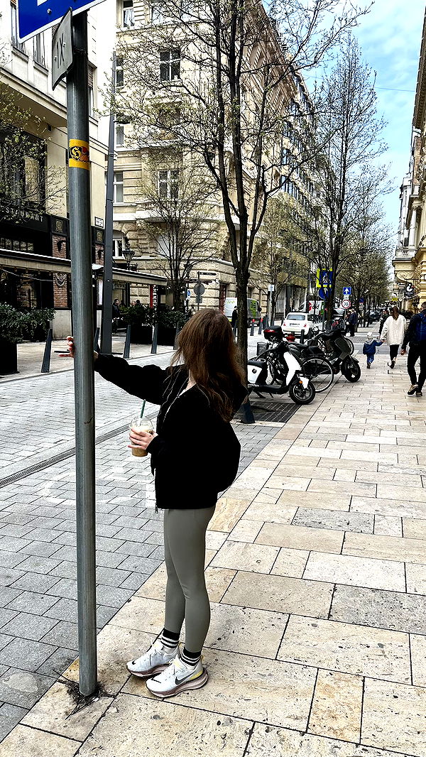 mira.0004 image ~ Altpins