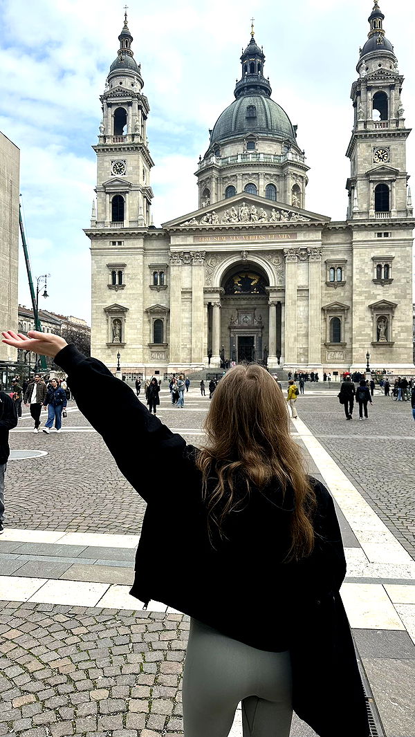 mira.0004 image ~ Altpins