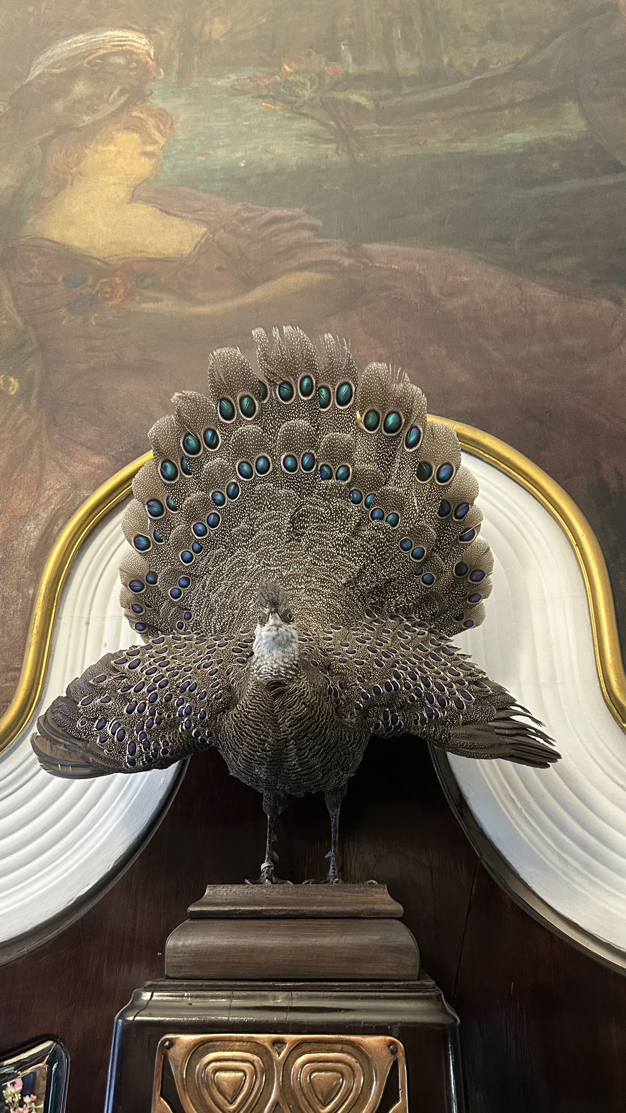 mira.0004 snapchat image archive image