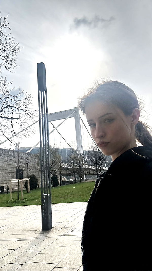 mira.0004 image ~ Altpins